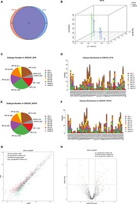 Transfer RNA-derived small RNAs and their potential roles in the therapeutic heterogeneity of sacubitril/valsartan in heart failure patients after acute myocardial infarction